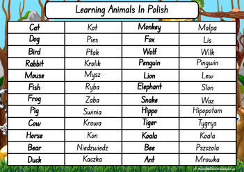 Animals In Different Languages Polish