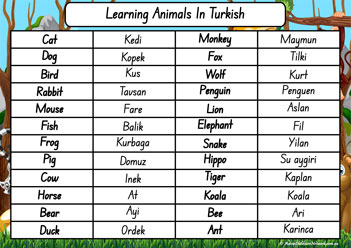 Animals In Different Languages Turkish
