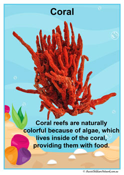 Facts Posters Coral