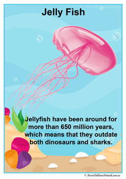 Facts Posters Jellyfish