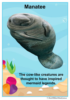 Facts Posters Manatee