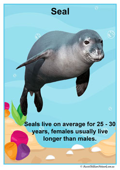 Facts Posters Seal