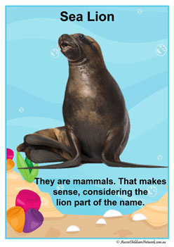 Facts Posters Sealion