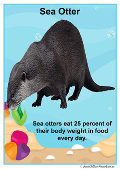 Facts Posters Seaotter