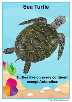 Ocean Animals Facts Posters - Aussie Childcare Network