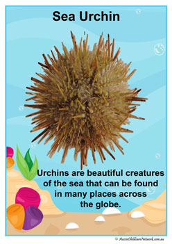 Facts Posters Seaurchinr