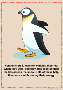 Penguin Information Posters  for children classroom displays penguin facts posters