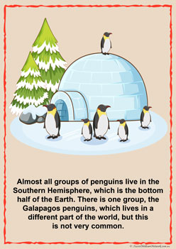 Penguin Information Posters for children classroom displays penguin facts posters penguin awareness