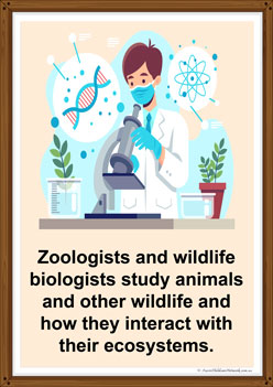 Zoologist poster for children
