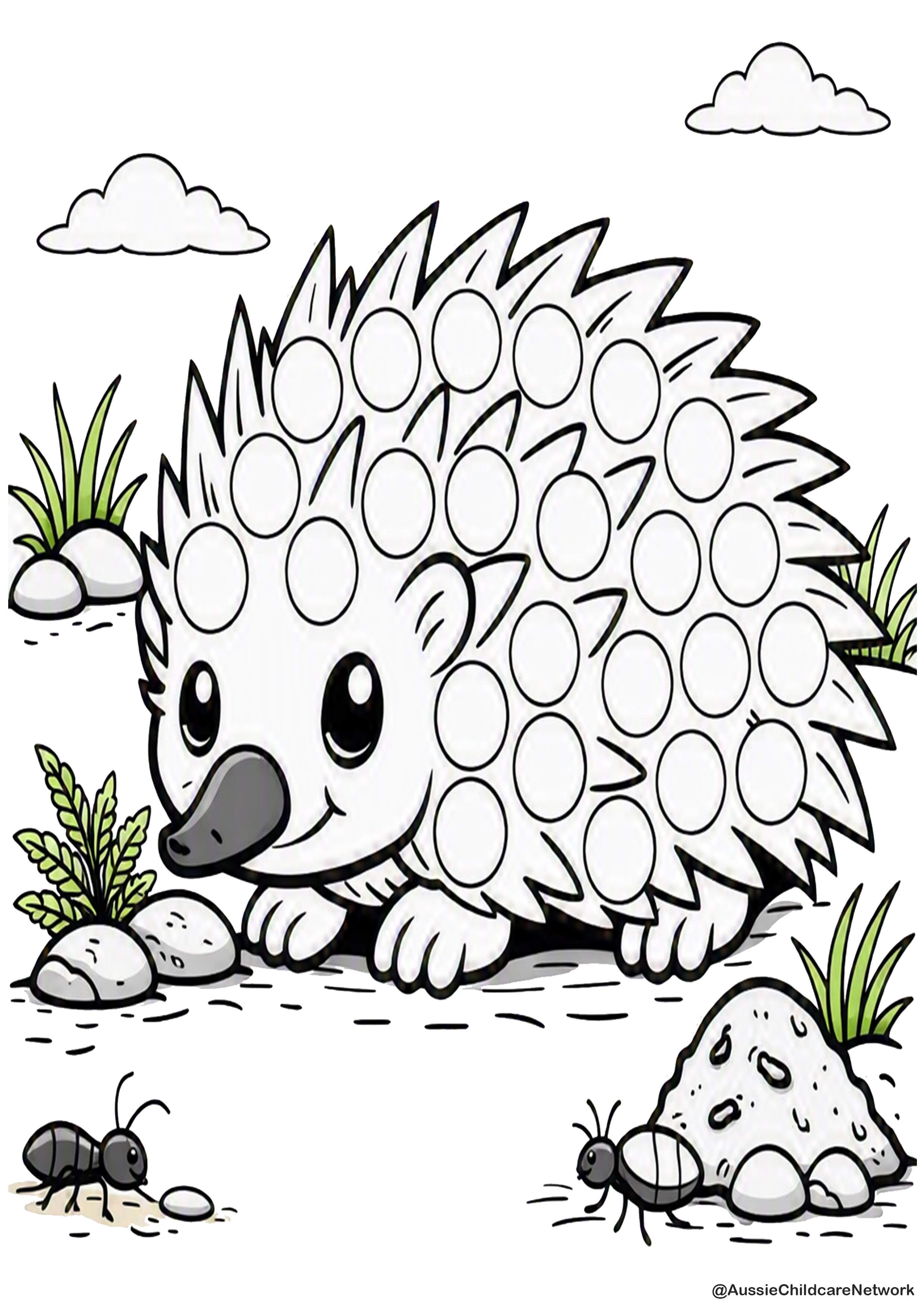 Echidna