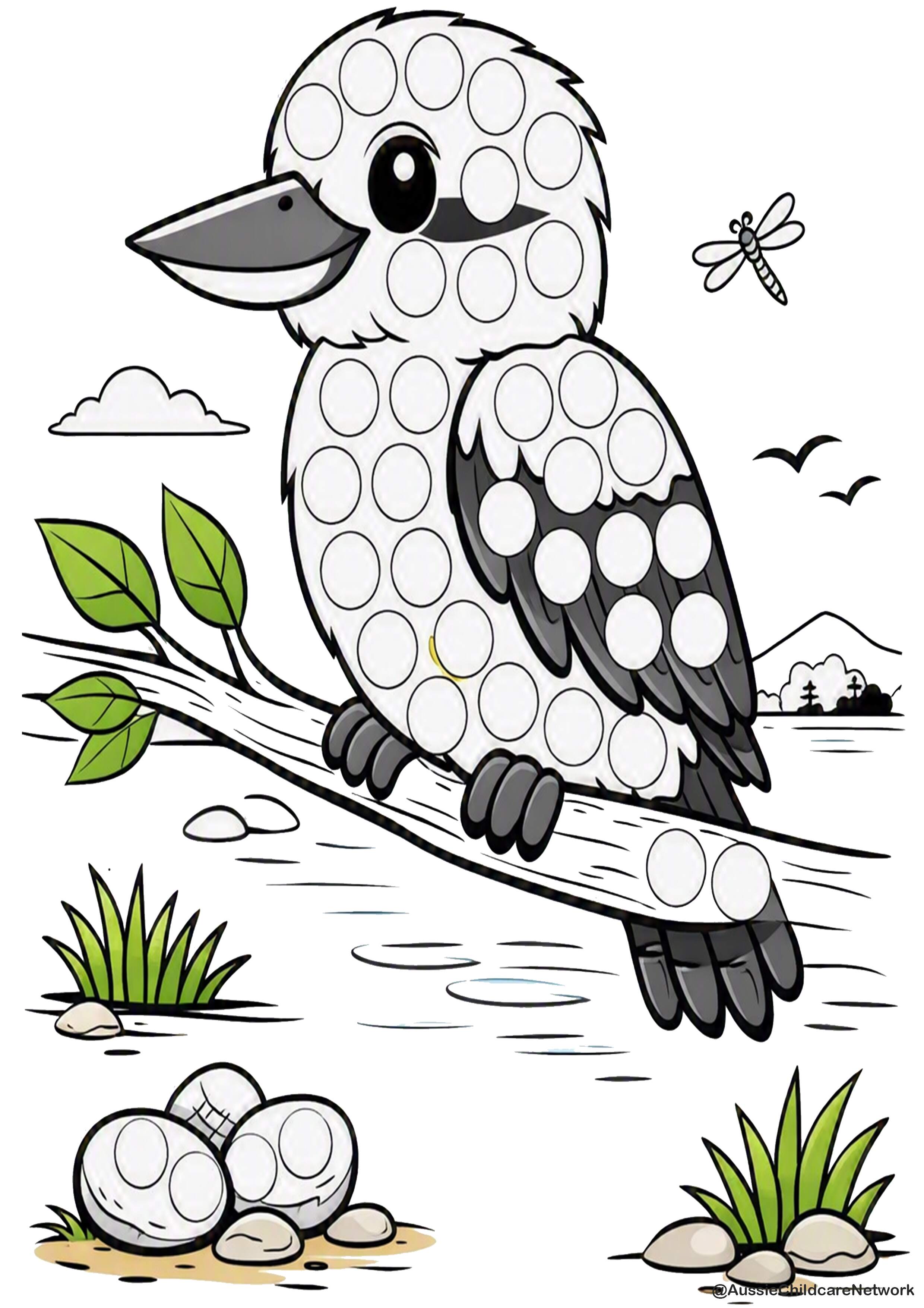 Kookaburra