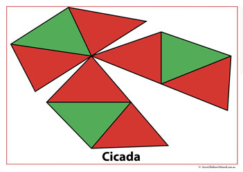 Pattern Blocks Cicada