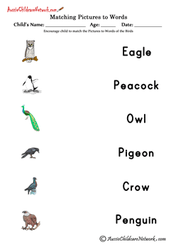 matching words to pictures of Birds