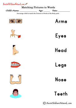 Matching words and pictures of Body Parts