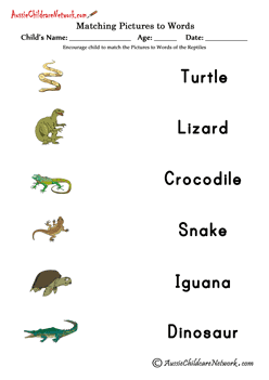 matching worksheets Reptil Animals