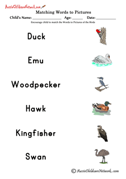 matching words and pictures worksheets of birds