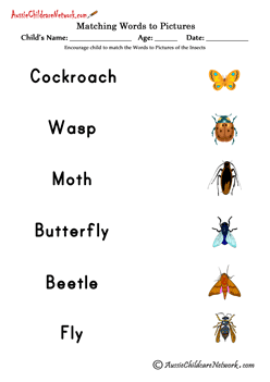 word picture matching Insects