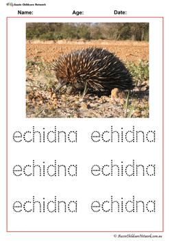 Tracing Words Worksheets Echidna