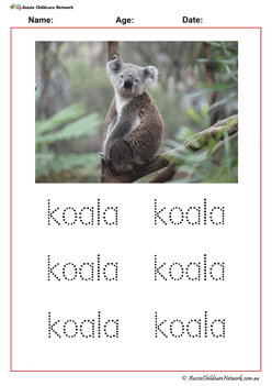 Koala Australian Animal Tracing Worksheet