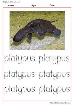 Vocabulary Worksheet Australian Animal Name Platypus