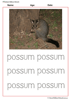 Vocabulary Words Possum Worksheet