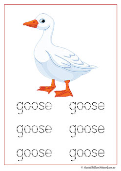 Farm Animal Vocabulary Goose