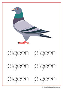 Farm Animal Vocabulary Pigeon