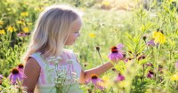 Outdoor Classroom Day On 21 May