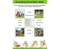 Developing Gross Motor Skills