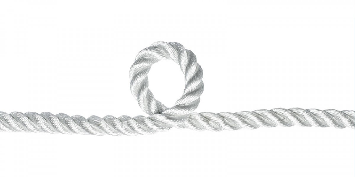 Australia Closes Screening Loophole for Educators: A Sector-Wide Safety Shift