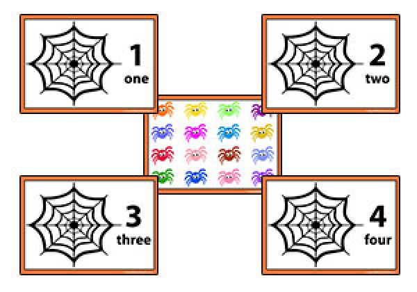 Spider Counting