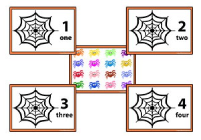 Spider Counting