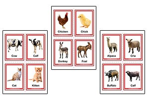 Farm Animals Adult and Baby Flashcards