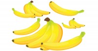 Go Bananas