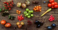Bush Tucker Gardens In Early Childhood Services