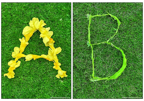 Nature Themed Letters