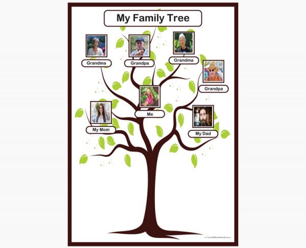 My Family Tree