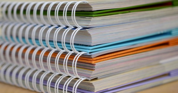 Portfolios in Early Childhood: A Comprehensive Guide