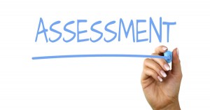 Formative Assessment Practices In Early Childhood Settings