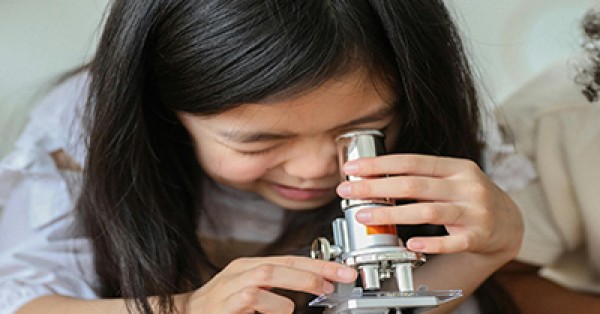STEM For Toddlers