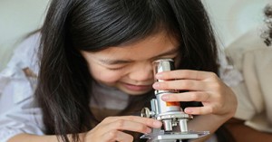 STEM For Toddlers