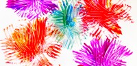 Fork Print Fireworks