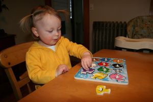 Cognitive Development for Toddlers 2-3 Year Olds