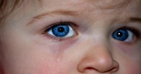 Separation Anxiety Babies and Toddlers