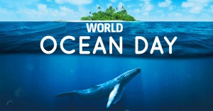 World Ocean Day Activities For Children