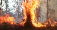 Teaching Children About Bushfires