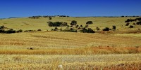 $50,000 Bonus Offered To Victoria Qualified Teachers To Relocate To Rural Victoria