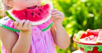 95% Of Menu Plans Unhealthy In Early Childhood Centres
