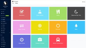 Appsessment 4.0 - Sleep Checks, Vehicle Transportation and Change Of Clothes Widgets