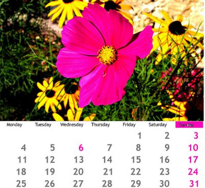 Environmental Events Calendar